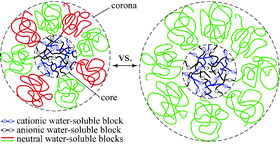 Graphical abstract: Comparison of complex coacervate core micelles from two diblock copolymers or a single diblock copolymer with a polyelectrolyte