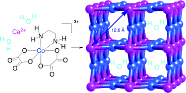 Graphical abstract: Coordination bonds and strong hydrogen bonds giving a framework material based on a 4- and 8-connected net in [Ca[Co(en)(oxalato)2]2]n