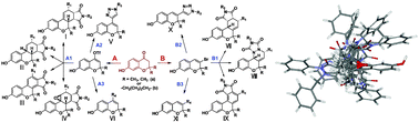 Graphical abstract: Concise and diversity-oriented synthesis of novel scaffolds embedded with privileged benzopyran motif