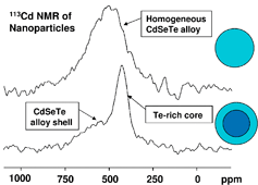 Graphical abstract: Solid state NMR studies of photoluminescent cadmium chalcogenide nanoparticles