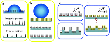 Graphical abstract: Wetting and anti-wetting on aligned carbon nanotube films