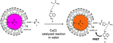 Graphical abstract: The chemical modification of liposome surfaces via a copper-mediated [3 + 2] azide–alkyne cycloaddition monitored by a colorimetric assay