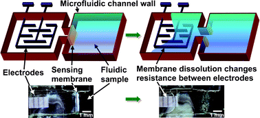 Graphical abstract: Dissolvable membranes as sensing elements for microfluidics based biological/chemical sensors