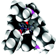 Graphical abstract: Targeting large phosp(iii)azane macrocyles [{P(μ-NR)}2(LL)]n (n ≥ 2)