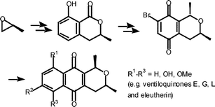 Graphical abstract: Total synthesis of enantiopure 1,3-dimethylpyranonaphthoquinones including ventiloquinones E, G, L and eleutherin