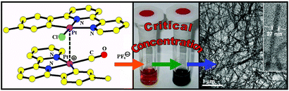 Graphical abstract: Self-assembled nanostructures with tridentate cyclometalated platinum(ii) complexes