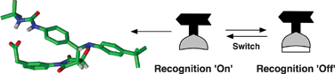 Graphical abstract: Controlling a recognition-mediated reaction using a pH switch