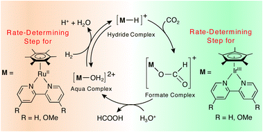 Graphical abstract: Mechanistic investigation of CO2 hydrogenation by Ru(ii) and Ir(iii) aqua complexes under acidic conditions: two catalytic systems differing in the nature of the rate determining step
