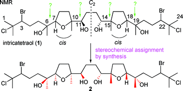 Graphical abstract: Two-directional synthesis and stereochemical assignment toward a C2 symmetric oxasqualenoid (+)-intricatetraol