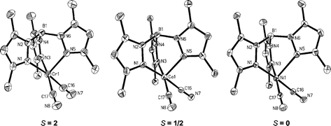Graphical abstract: Syntheses, structures, and magnetic characterization of dicyanometalate(ii) building blocks: [NEt4][(Tp*)MII(CN)2] [MII = Cr, Co, Ni; Tp* = hydridotris(3,5-dimethylpyrazol-1-yl)borate]