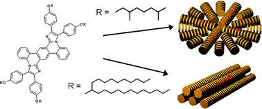 Graphical abstract: Long-range self-assembly of bis(imidazole)-annulated terphenyls