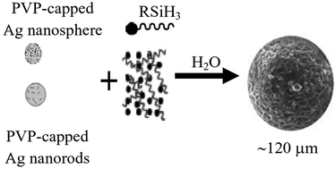 Graphical abstract: PVP-capped silver nanoparticles as catalysts for polymerization of alkylsilanes to siloxane composite microspheres