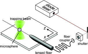 Graphical abstract: Optical force field mapping in microdevices
