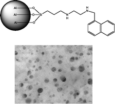 Graphical abstract: Naphthalene-containing polyamines supported in nanosized boehmite particles