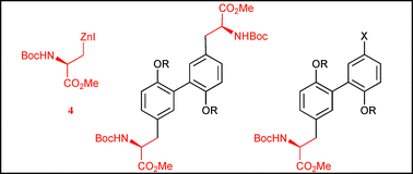 Graphical abstract: Synthesis of orthogonally protected biaryl amino acid derivatives