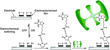 Graphical abstract: Protein micropatterning based on electrochemically switched immobilization of bioligand on electropolymerized film of a dually electroactive monomer