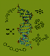 Graphical abstract: Synthetic metallomolecules as agents for the control of DNA structure