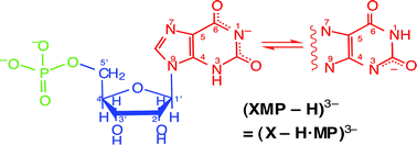 Graphical abstract: Evidence for intramolecular aromatic-ring stacking in the physiological pH range of the monodeprotonated xanthine residue in mixed-ligand complexes containing xanthosinate 5′-monophosphate (XMP)