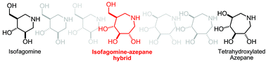 Graphical abstract: Tandem Staudinger–azaWittig mediated ring expansion: rapid access to new isofagomine-tetrahydroxyazepane hybrids