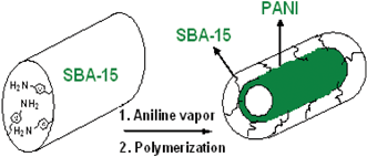 Graphical abstract: In-situ polymerization of grafted aniline in the channels of mesoporous silica SBA-15