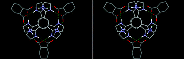 Graphical abstract: Formation of a discrete helical assembly and packing pattern through charged hydrogen bonds and van der Waals interactions