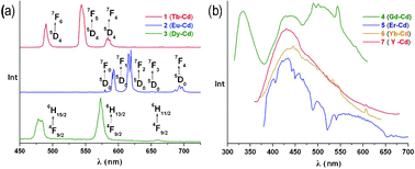 Graphical abstract: A series of luminescent lanthanide–cadmium–organic frameworks with helical channels and tubes