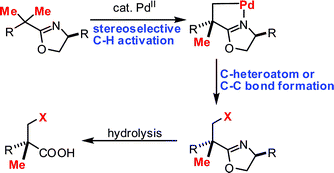 Graphical abstract: σ-Chelation-directed C–H functionalizations using Pd(ii) and Cu(ii) catalysts: regioselectivity, stereoselectivity and catalytic turnover