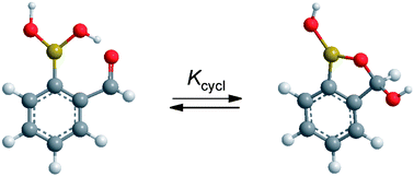 Graphical abstract: A tautomeric equilibrium between functionalized 2-formylphenylboronic acids and corresponding 1,3-dihydro-1,3-dihydroxybenzo[c][2,1]oxaboroles