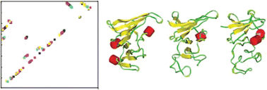Graphical abstract: Molecular dynamics simulation of thermal unfolding of Thermatoga maritima DHFR