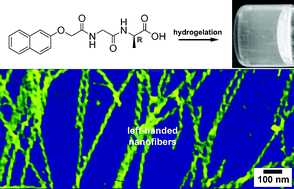 Graphical abstract: Conjugates of naphthalene and dipeptides produce molecular hydrogelators with high efficiency of hydrogelation and superhelical nanofibers