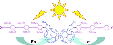 Graphical abstract: Photoinduced energy and electron transfer in fullerene–oligophenyleneethynylene systems: dependence on the substituents of the oligomer unit