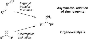Graphical abstract: Enantioselective catalytic syntheses of α-branched chiral amines