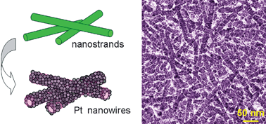 Graphical abstract: Free-standing nanofibrous platinum sheets and their conductivity