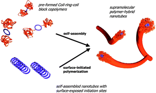 Graphical abstract: Conjugating self-assembling rigid rings to flexible polymer coils for the design of organic nanotubes