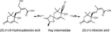 Graphical abstract: Concise enantioselective synthesis of abscisic acid and a new analogue