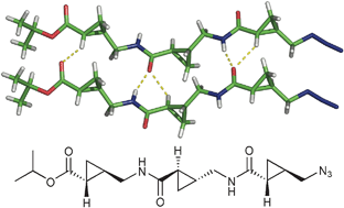 Graphical abstract: Parallel sheet structure in cyclopropane γ-peptides stabilized by C–H⋯O hydrogen bonds