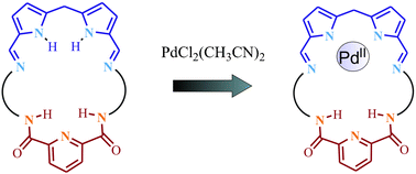 Graphical abstract: Mono-palladium(ii) complexes of diamidopyridine–dipyrromethane hybrid macrocycles