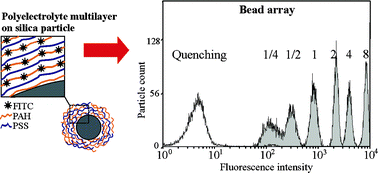 Graphical abstract: Fluorescent bead arrays by means of layer-by-layer polyelectrolyte adsorption