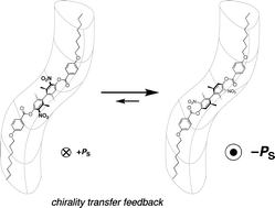 Graphical abstract: Molecular recognition in chiral smectic liquid crystals: The effect of core–core interactions and chirality transfer on polar order