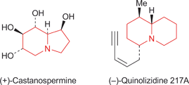 Graphical abstract: Indolizidine and quinolizidine alkaloids