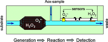Graphical abstract: Characterization of antioxidants using a fluidic chip in aqueous/organic media