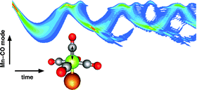 Graphical abstract: Chirp-driven vibrational distribution in transition metal carbonyl complexes