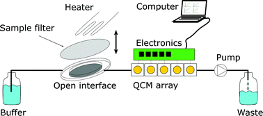 Graphical abstract: A micromachined interface for airborne sample-to-liquid transfer and its application in a biosensor system