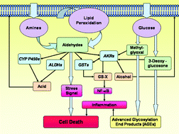 Graphical abstract: Aldehyde metabolism in the cardiovascular system