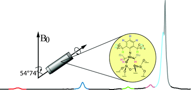 Graphical abstract: High resolution solid state NMR spectroscopy in surface organometallic chemistry: access to molecular understanding of active sites of well-defined heterogeneous catalysts