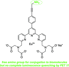 Graphical abstract: Aminopropargyl derivative of terpyridine-bis(methyl-enamine) tetraacetic acid chelate of europium (Eu (TMT)-AP3): a new reagent for fluorescent labelling of proteins and peptides