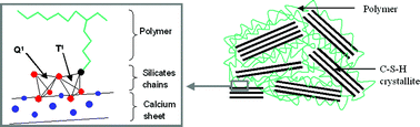 Graphical abstract: New covalent bonded polymer–calcium silicate hydrate composites