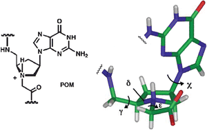 Graphical abstract: Homopolymeric pyrrolidine-amide oligonucleotide mimics: Fmoc-synthesis and DNA/RNA binding properties