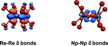 Graphical abstract: Metal–metal bonding in molecular actinide compounds: electronic structure of [M2X8]2− (M = U, Np, Pu; X = Cl, Br, I) complexes and comparison with d-block analogues