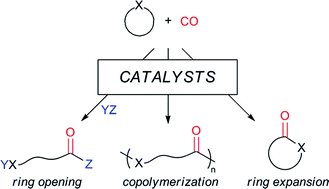 Graphical abstract: Carbonylation of heterocycles by homogeneous catalysts